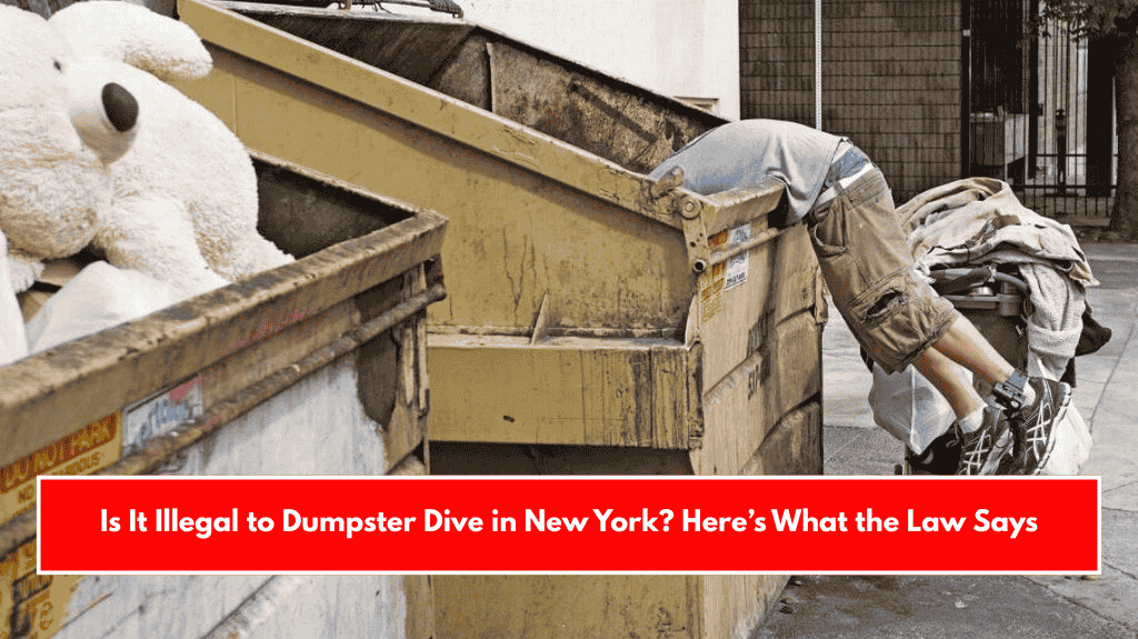 Is It Illegal to Dumpster Dive in New York? Here’s What the Law Says
