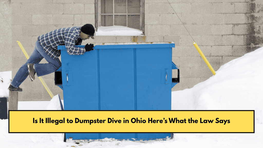 Is It Illegal to Dumpster Dive in Ohio Here’s What the Law Says