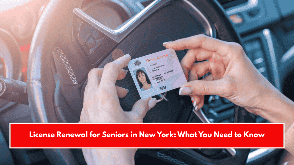 License Renewal for Seniors in New York: What You Need to Know