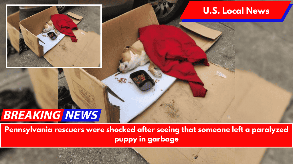 Pennsylvania rescuers were shocked after seeing that someone left a paralyzed puppy in garbage