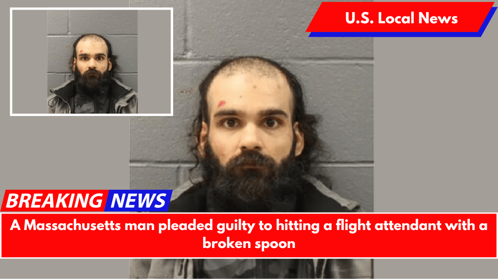 A Massachusetts man pleaded guilty to hitting a flight attendant with a broken spoon