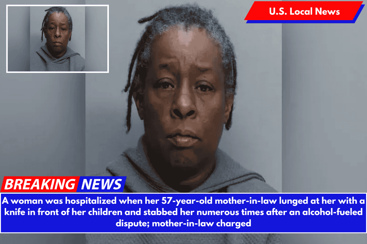A woman was hospitalized when her 57-year-old mother-in-law lunged at her with a knife in front of her children and stabbed her numerous times after an alcohol-fueled dispute; mother-in-law charged