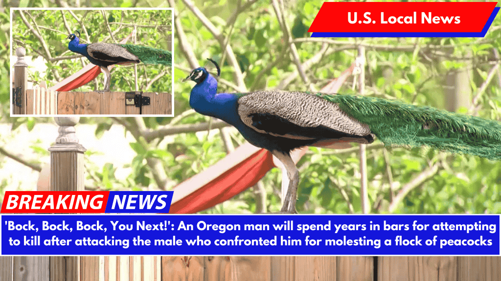 'Bock, Bock, Bock, You Next!': An Oregon man will spend years in bars for attempting to kill after attacking the male who confronted him for molesting a flock of peacocks
