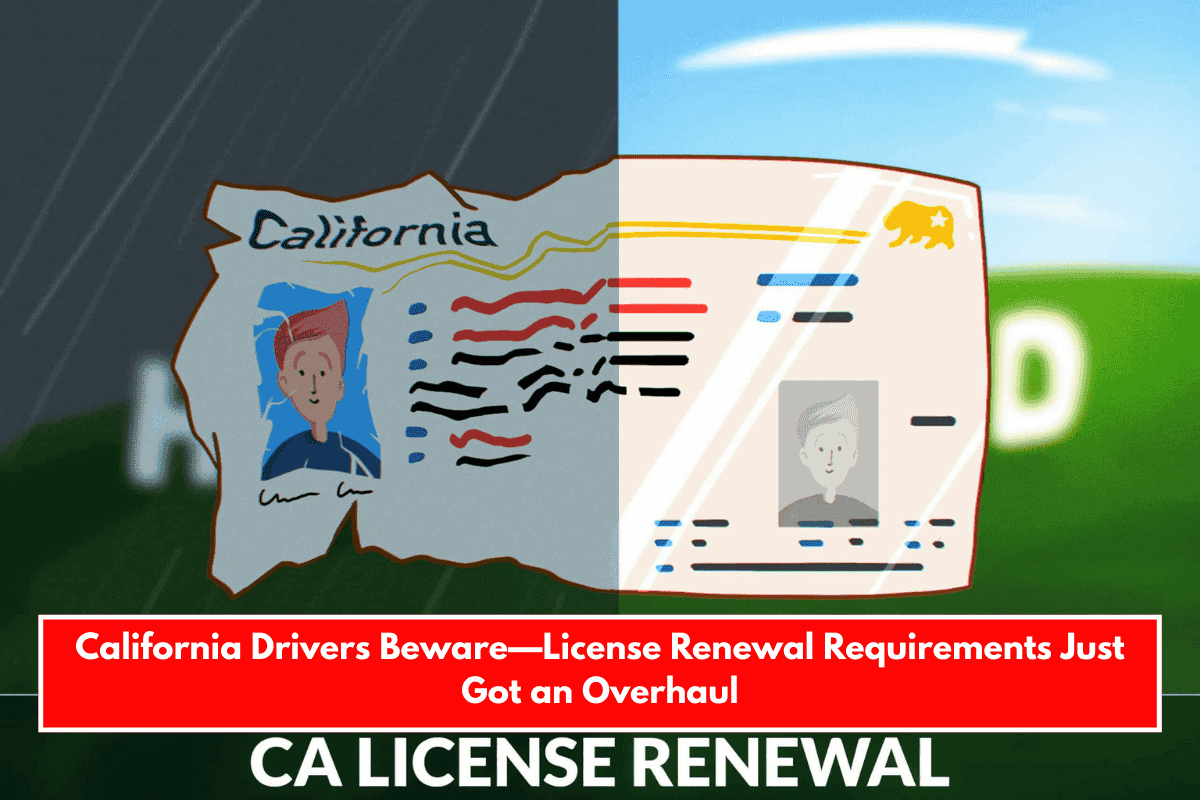 California Drivers Beware—License Renewal Requirements Just Got an Overhaul