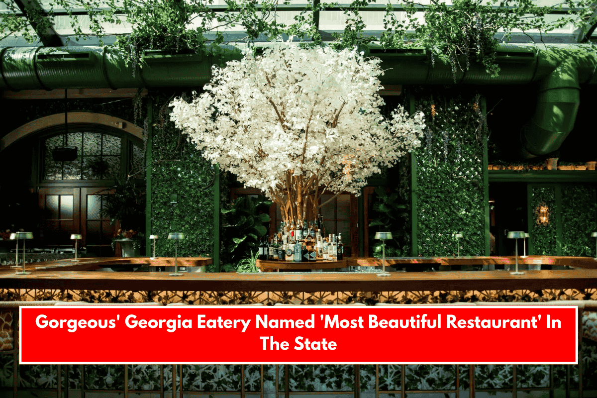 Gorgeous' Georgia Eatery Named 'Most Beautiful Restaurant' In The State