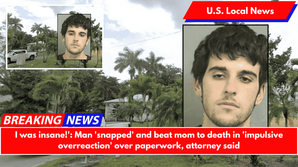 I was insane!': Man 'snapped' and beat mom to death in 'impulsive overreaction' over paperwork, attorney said