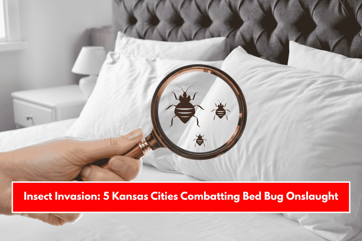 Insect Invasion: 5 Kansas Cities Combatting Bed Bug Onslaught