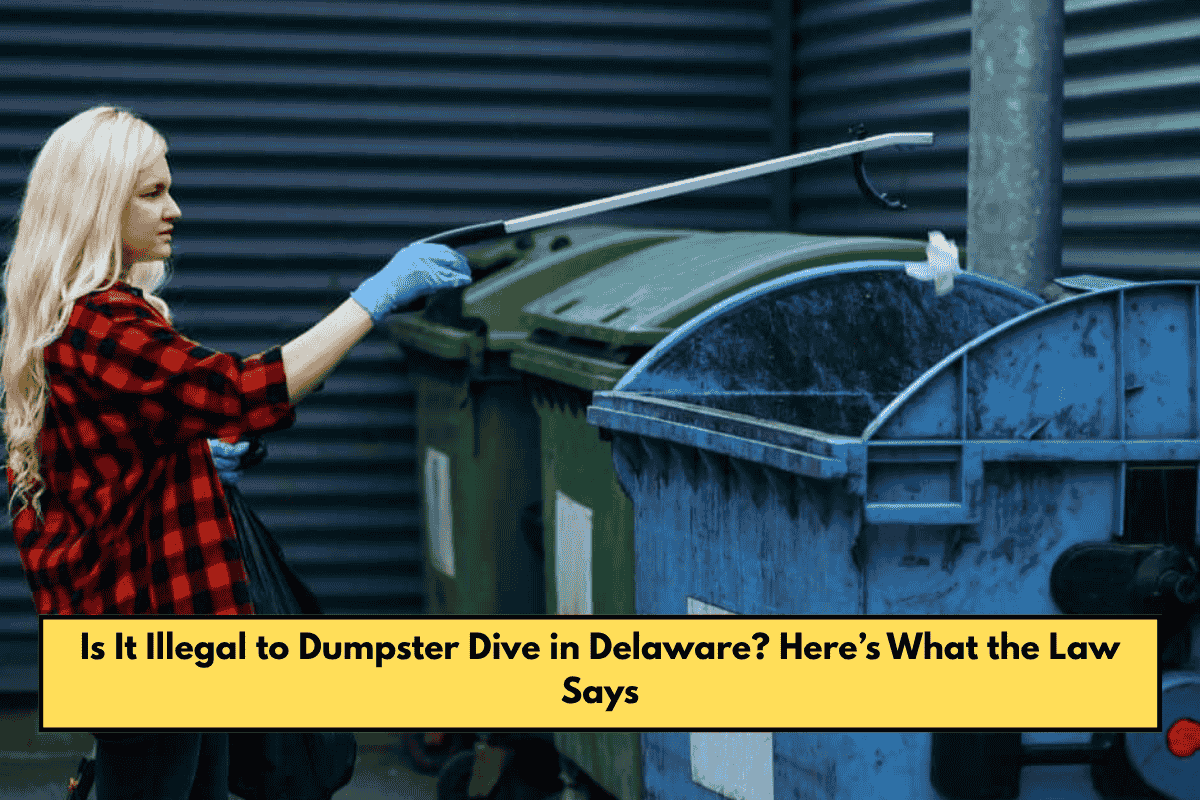 Is It Illegal to Dumpster Dive in Delaware? Here’s What the Law Says
