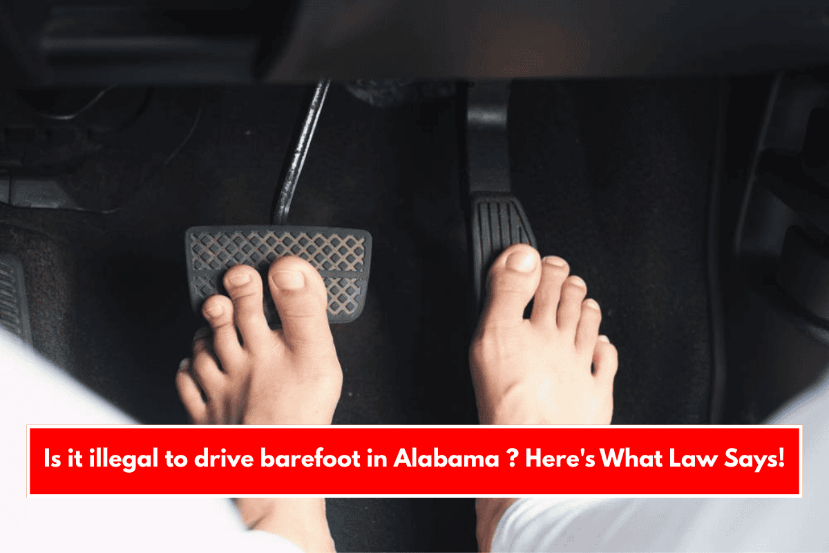 Is it illegal to drive barefoot in Alabama ? Here's What Law Says!