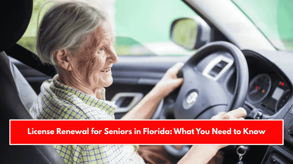 License Renewal for Seniors in Florida: What You Need to Know