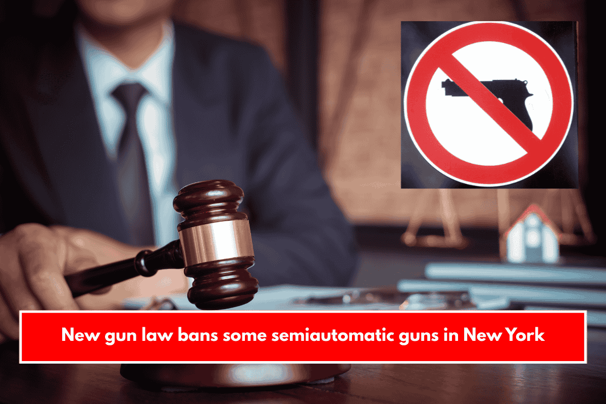 New gun law bans some semiautomatic guns in New York
