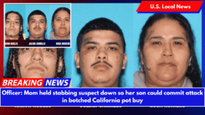 Officer: Mom held stabbing suspect down so her son could commit attack in botched California pot buy