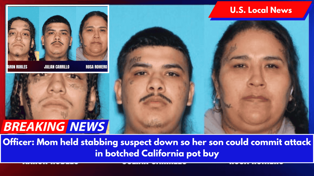 Officer: Mom held stabbing suspect down so her son could commit attack in botched California pot buy