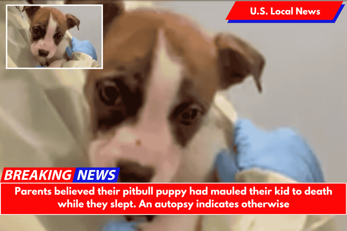 Parents believed their pitbull puppy had mauled their kid to death while they slept. An autopsy indicates otherwise