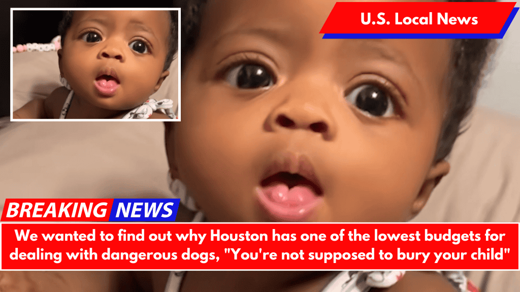 We wanted to find out why Houston has one of the lowest budgets for dealing with dangerous dogs, "You're not supposed to bury your child"