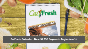 CalFresh Calendar: New $1,756 Payments Begin June 1st